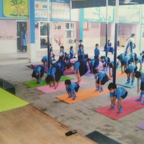 Independence & Yoga Day